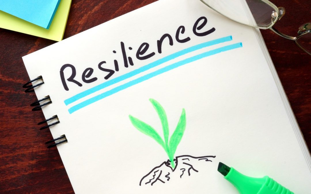 Reframing Resilience